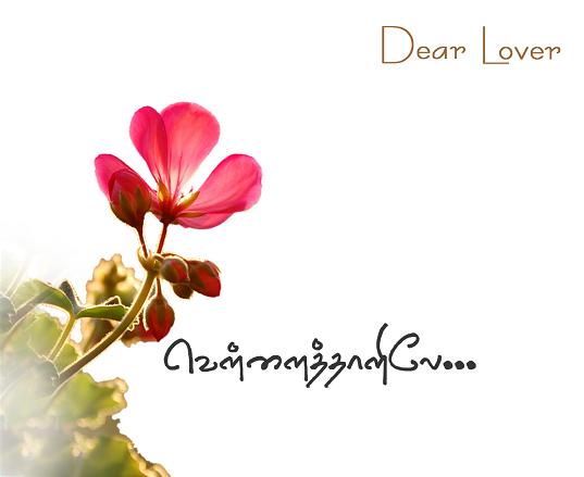 Dear lover